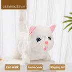 Bantam cat White