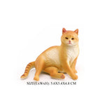 Mini Cat -12