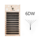 6DW / D / 0.07mm|10mm