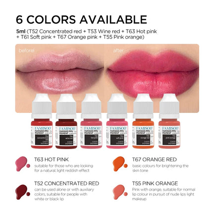 FAMISOO 5ML Permanent Makeup Pigment Inks Lip Tattoo Ink for Semi Permanent Makeup Eyebrows Pigment Tattoo Supplies