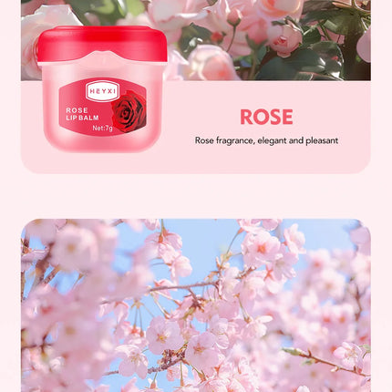 4/6/8pcs Fruit Series Lip Balm Set Sleeping Lip Mask Moisturizing Hydrating Non-sticky Anti-Cracked Lip Balm Lips Care