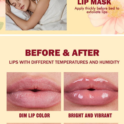 5pcs Lip Balm Set Rose Chrysanthemum Fragrance Moisturizing Lip Mask Lip Care Autumn and Winter Moisturizing Lips Hydrating