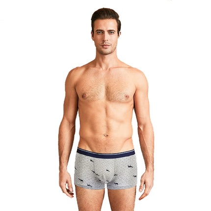 4pcs Men's Panties Sexy Shorts Cotton Underwear Male Breathable Boxers Solid Boxer Shorts Brand Underpants