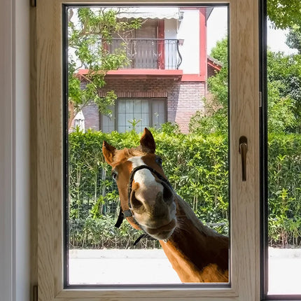 Funny Horse Self-Adhesive Window Stickers, Bedroom Entryway Living Room Porch Home Decoration Wall Stickers, Removable Stickers