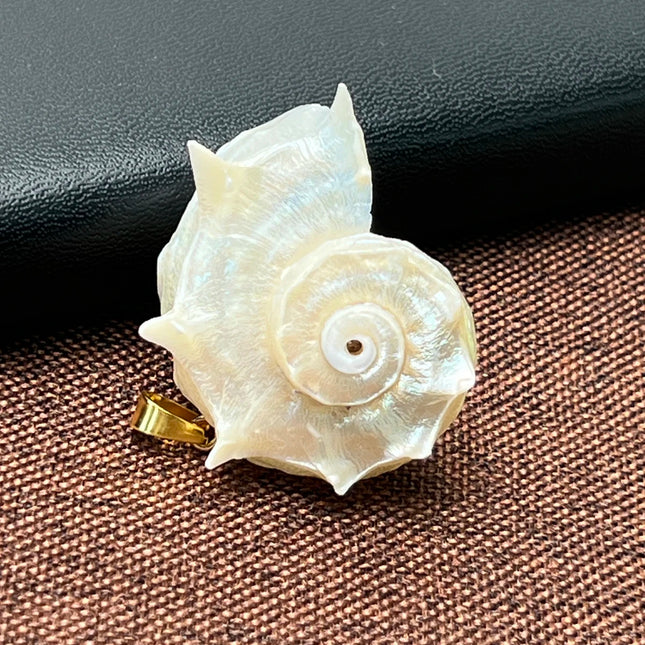 5pcs 25-40mm Conch Shell-Shaped Pendants Natural Shell Semi-Finished Charms for Jewelry Making DIY Necklace Bracelet Accessories