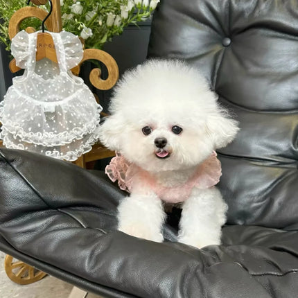 Lace Mesh Pet Dress Summer Princess Style Dog Clothes Maltese Breathable Suspender Sweet Little Dog Skirt