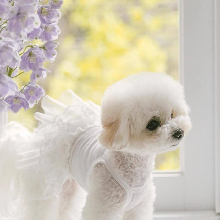 Pet Princess Dress Small Dog Thin Dress Pet Summer Halter Teddy Mesh Vest Bichon Solid Colour Skirt Fashionable Dog Clothes
