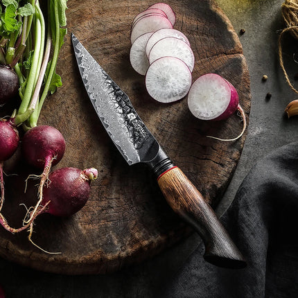 XINZUO 5.5-inch Utility Knife Long-lasting High-quality a Worthy Addition to Your Kitchen Invest in Durability Pro Knife