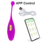 Purple APP / China Mainland