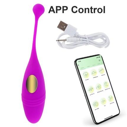 Panties Wireless Remote Vibrator Vagina Vibrating Egg Wearable Balls Vibrators G Spot Clitoris Massager Adult Sex Toys for Women