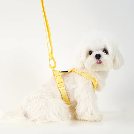 Adjustable Dog Harness Collar Leash Set Macarone Color, Reflective Small Dog Accessories for Puppy & Cat Supplies, Pet Walking