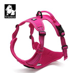 FUCHSIA / S / france