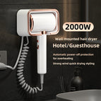 220V-2000W