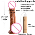penis vibrator / China Mainland