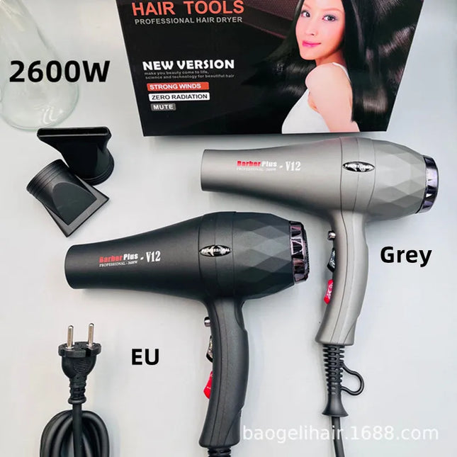 220V Quick Drying Hair Dryer 2600W High-Power Negative Ion Hair Salon Household Constant Temperature Thermoelectric Hair