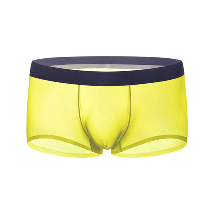 Ice Silk Transparent Boxer Shorts For Man Seamless Ultra-Thin Male Underpants Sexy Quick Dry Bulge Penis Pouch Panties Underwear