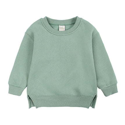 2024 New Autumn Girls Hoodies 9M-6T Kids Solid Colored Plush Pullover Children Boys Tops 9 Colors