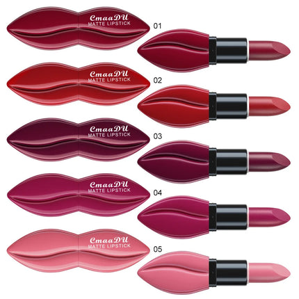 5pcs Matte Lipstick Makeup Set Super Smooth Texture Long Lasting Lipstick Kit High Pigment Sexy Lip Stick with Perfect Gift Box