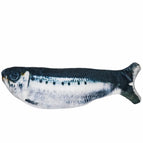 Sardines