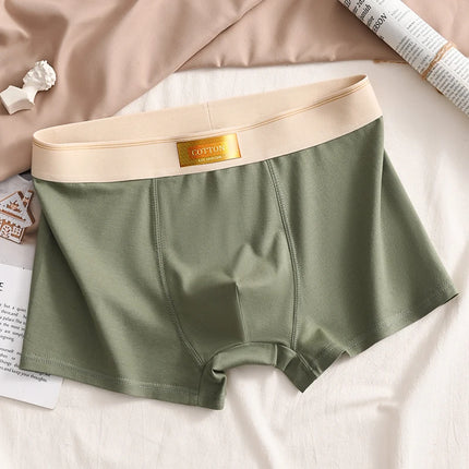 Luxury Men Underpants Man Cotton Breathable Comfortable Boxer Selling Shorts Men's Panties Plus Size Panties Underwear Gift