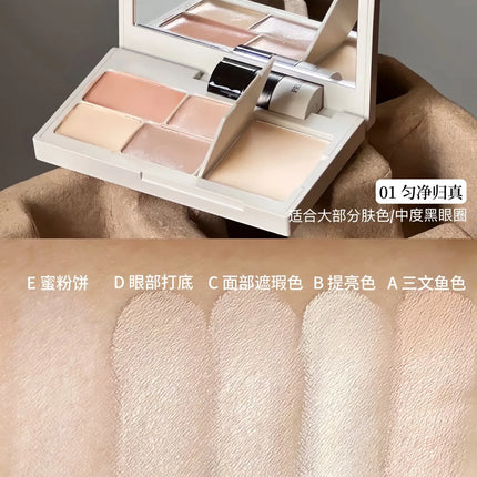 INSBAHA Face Concealer Cover Dark circles and Acne Brightening Tears Concealer Set Powder Makeup Combination
