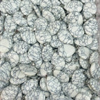 white pine / 31Pcs