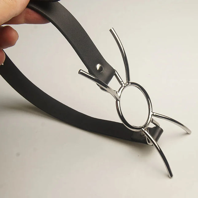 Stainless Steel Open Mouth Spider Gag Ball, Head Harness Ball Gags Restraint, Adult BDSM Toys