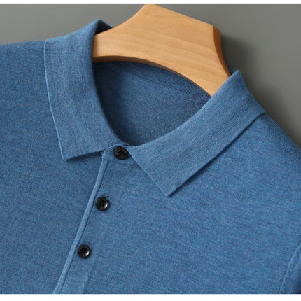 High quality worsted  spun collar wool sweater men's spring and autumn business polo sweater thin long sleeved knitted T-shirt