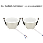 1 BT and 1 Deputy / Speaker