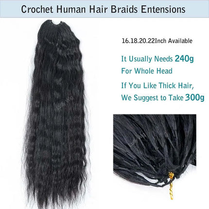 Wet and Wavy Human Hair Crochet Braids Extensions Pre Separated Burmese Remy Hair Bundles With Loop Knotless For Braiding