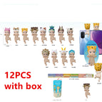 12PCS with box C