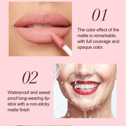 Matte Lip Gloss & Lipliner Pen Set Makeup Women Gift 24h Long-lasting Waterproof Non Stick Cup Mirror Lipstick Sexy Lips Makeup