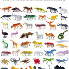 All 96 Animal Models