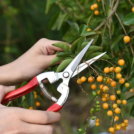 Pruning shears picking shears stainless steel straight blade anti slip handle gardening flowers bonsai orchard popular tools