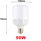 50W / White Light