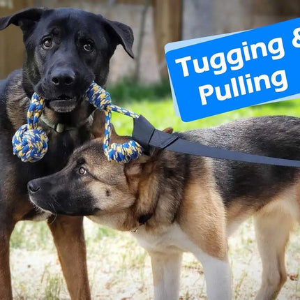 Outdoor Bungee Tug Toy, Dog Toy Hanging from Tree for Small to Large Dogs, Interactive Exercise Play Cord & Tether with Chew Rop