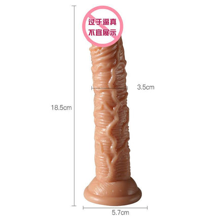 Super Soft Lesbian Strap-on Big Dildo Realistic Small Fake Penis Dick Anal Plug Adult Sex Toys