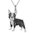 Boston Terrier / 50cm