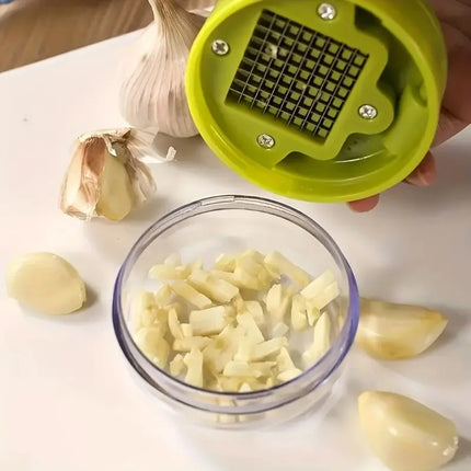 1pc Multifunctional Garlic Press Manual Mincer， ABS and Stainless Steel Garlic Slicer Handheld Ginger Masher with Storage Case