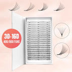 16D 0.05 400 fans / CC / 8mm|China Mainland