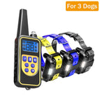 For 3 Dogs 1