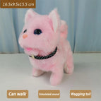 Collared cat Pink