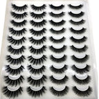 20Pairs-H14