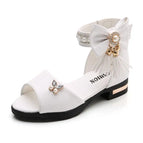 B39White / 37 (Insole 23.3CM)