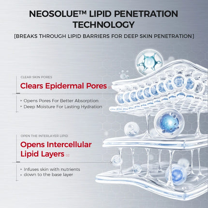 Hydrating & Soothing Toner, Lotion & Cream with 8D Hyaluronic Acid & Ceramides – Moisturizing, Barrier Repair & Firming Care