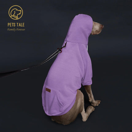 Solid Color Dog Hoodie with Pocket, Leather Patch, Hook and Loop Fastener Collar - Available in 5 Colors