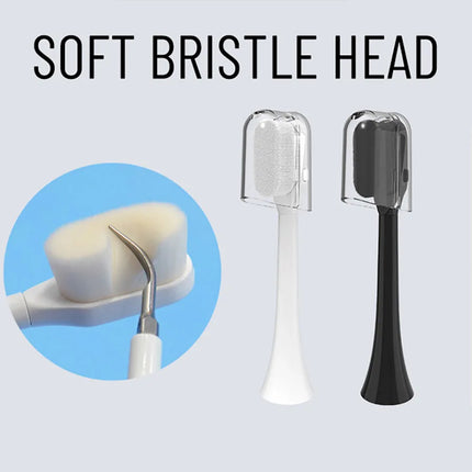 Sonicare Brush Heads HX3 HX6 HX9 / Têtes Brosse Sonicare
