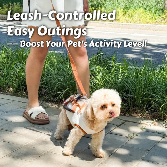 Air-Lift Carry Harness Dog Backpack - Breathe Easy No-Pull Leash for Small Dogs, Escape-Proof & Super Comfy Pet Carrier!