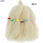 #613 / 12inch (30.48cm) / 6 Packs(60 Strands)