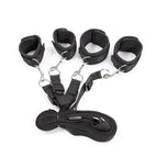 223-heise